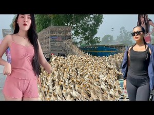 Full Video: Millions of Ducks Migrate by Boat & Truck – Vietnam’s Smartest Farm Operation Ever! 🦆⛵🚛💰