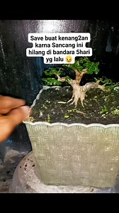 310 reactions · 164 comments | Dan akhirnya hilang di bandara sultan...