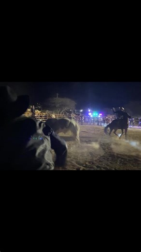 🤠🥴🤕😆😆#rodeo #jaripeo #vaquero #humor #todos