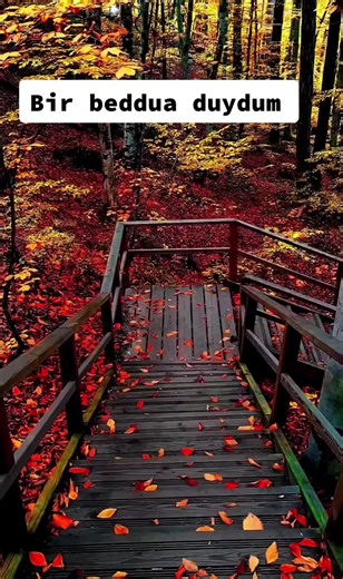 Ahim Geleceğine Yük Ahiretine Miras Olsun: Ağır Beddua Sözleri
