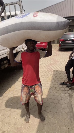 Funny Dog Video: Big Nose Covers Paw Like a Pro