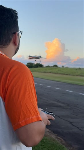 Perfect Torque & Smooth Landing: Skywing ARS 300 101" 🦁✨