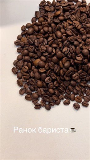 Start Your Day with Barista Life: Morning Coffee Moments