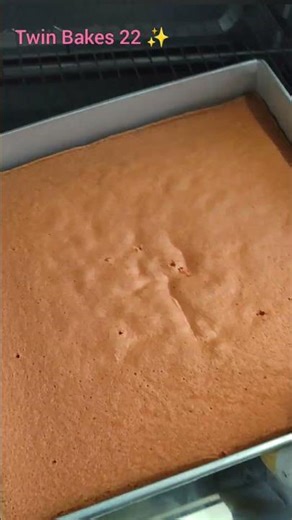 Introducing a New Addition at Twin Bakes☺️✨Rose Milk Cake🌹🍰..#twinbakes #rosemilkcake #homemadecake