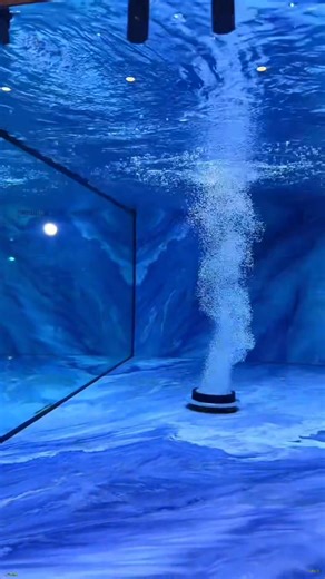 Giant tank project 😨 #aquarium #fishtank | Trip Aquarium