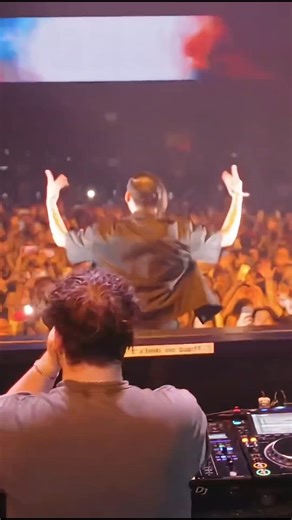 Sub Zero Project Hardstyle Festival #subzeroproject #hardwell #hardstyle #new #music