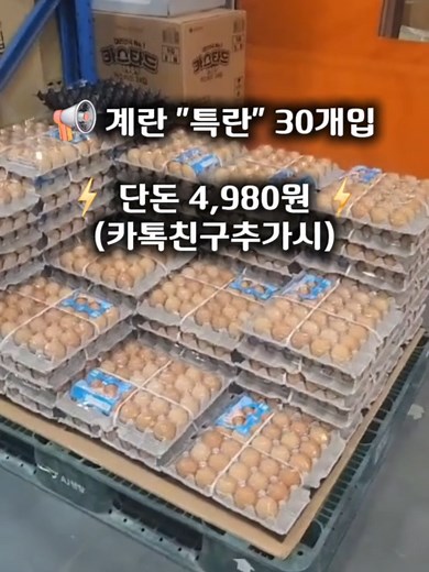 도매콜 계란 특가 소식! 30개 4,980원