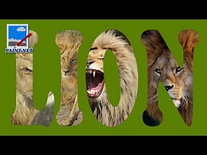 Placing Multiple Images in Text using Paint.NET