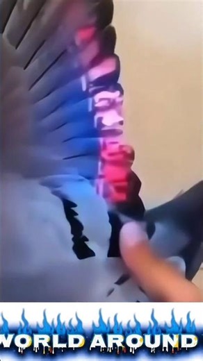 “The Future Is Already Here | Mind-Blowing Science & Technology Innovations 2025🚀”#Innovation#viral