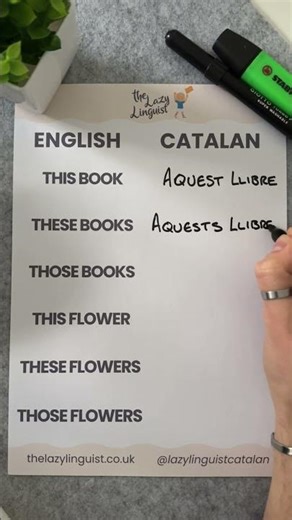 These 6 Catalan Words Will Change How You Speak! 📚🌸