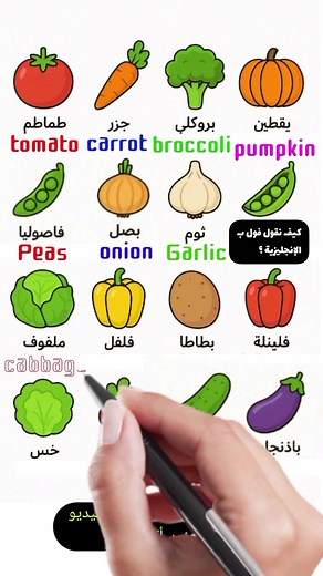 English to Arabic ✍️ Please My Pages Follow Like Share Comment Buy My Subscription #thankyouforyoursupport #ThisPostShare #hilights #تعلم_اللغة_الانجليزية #إذا_اتممت_المشاهدة_لا_تنسى_الصلاة_على_النبي_صلى_الله_عليه_وسلم_ومتابعة_فضلاً | English to Arabic