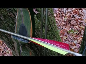 Traditional Bow Hunting 2022 - Bear Kodiak Hunter