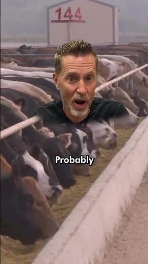 Beef Choices at Costco: Conventional, Organic, & Grass-Fed #foodindustry