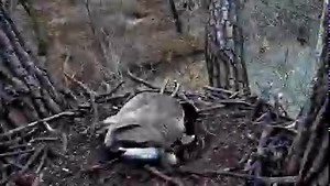 2.5M views · 61K reactions | Happy Fri-yay, everyone! Mother goose...