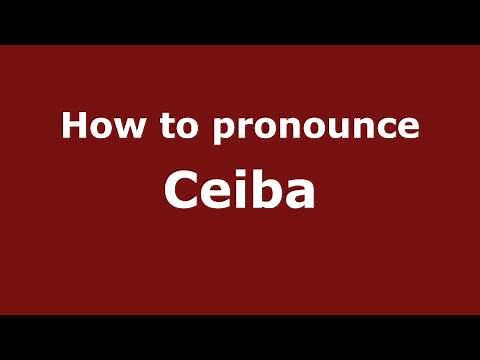 How to Pronounce Ceiba - PronounceNames.com