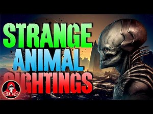 15 UNEXPLAINED Animal Sightings - Darkness Prevails