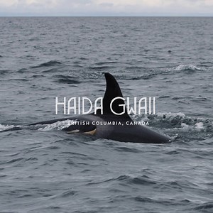 182K views · 1.5K shares | Did you know Haida Gwaii is made up of a collection of 150+ remote islands? | Super, Natural British Columbia | Facebook