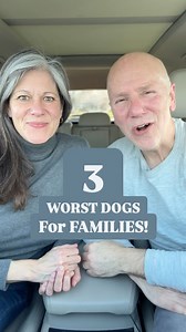 470K views · 88 reactions | The 3 worst dog breeds for families....