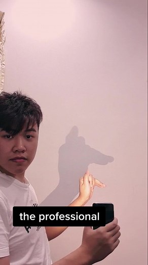 Exploring Different Types of Shadow Puppets