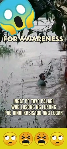 142K views · 328 reactions | GRABE ANG LAKI NI LOLONG #everyone #highlights #fbreels #reelsfb #friends #follower #viewers #nonfollowers #beautiful #day #awereness #sefetyfirst #wildlife #nature #beast #scary #animals #crocodile #riverside | Rolly Niebres | Facebook