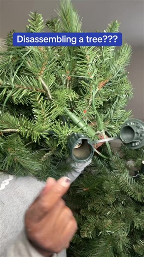 Quick Guide to Christmas Tree Disassembly