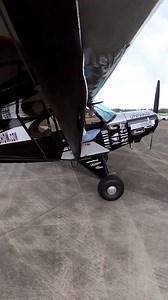 2.4K reactions · 39 shares | My signature move: the good ol’ tuck & dive and pray that the plane doesn’t run me over 鸞蘭 | Franklin's Flying Circus | Facebook