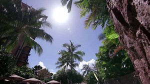 420K views · 2.2K reactions | Meet Manako, the 2017-2018 Ambassador at Aulani, a Disney Resort & Spa! | Aulani, A Disney Resort & Spa | Facebook