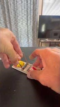 How To Set Your New Victor Mouse Trap. #mousetrap #howto