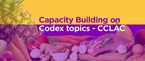 Webinar series for capacity building on Codex topics of interest for the Latin American and the Caribbean region