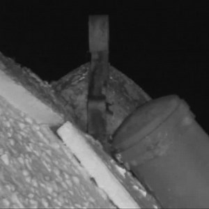 We use infrared cameras on all of our bat surveys, so we managed to get this exceptionally cute footage of a brown long-eared bat leaving their roost. Not only do we get cute footage like this, it helps us pinpoint the exact access features. We can then make sure it is best replicated when this homeowner installs their new roof, so the bats can happily continue to roost in the loft and the homeowner no longer has a leaky roof. Win win!驪驪驪 | Morph Ecological Consultants | Facebook