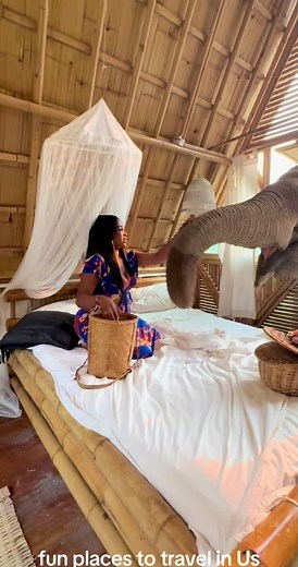 Let's address the elephant in the room . We stayed in a little bungalow at this elephant sanctuary that rescues mistreated elephants. The elephants get to walk around the village freely and are treated so beautifully (they're so spoiled here). The Elephants visited us every morning for breakfast . After we fed them we bathed them in the river alongside our bungalow. We had so much fun.