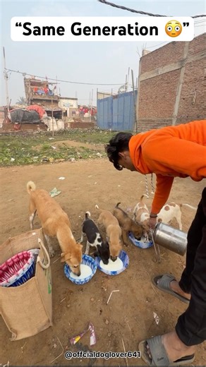 “Same Generation, Different Mindset 💭 | Real Humanity 🐾❤️”