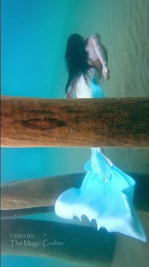 A mermaid explores her underwater kingdom