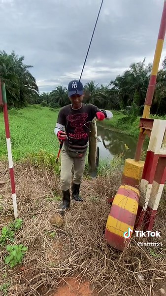 #castingharuan #kakitebing #foryourpage #xyzbca #masukberanda #fyp #tomansombong