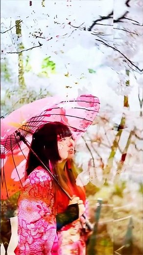 【沼田観光】沼田公園桜まつりの季節がやって来ました！ #群馬県沼田市 #沼田公園 #沼田城址 #桜