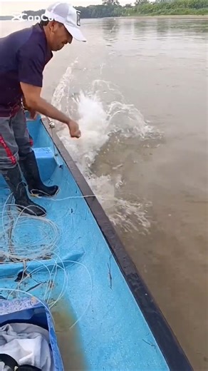 bicho bruto 😱 filhote lindo#fishing #viral #pescaria