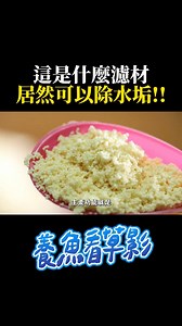 167 reactions · 30 shares | 這是什麼濾材？ 居然可以除水垢？！ Fish tank filter material that can remove scale #aquarium #水族 #fishtank #shorts | A C 草影水族 | Facebook