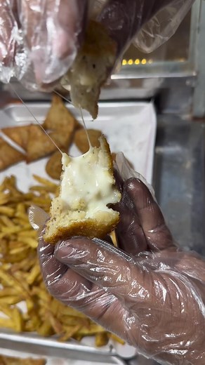 Delicious Malai Boti Samosas and More at Disco Fries, Canal Bank Lahore