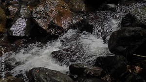 Streams in Natural Bridge, Springbrook National Park, Gold Coast Hinterland, Australia