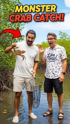 CRAZY FISHING SKILL! GIANT MONSTER CRABS CAUGHT EASY