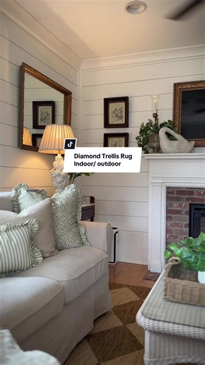 Indoor/Outdoor Diamond Trellis Rug for Easy Cleaning