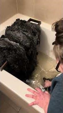 197 🐑 Part 2 - From Fleece to Fabric: Washing Wool in 6 Cycles