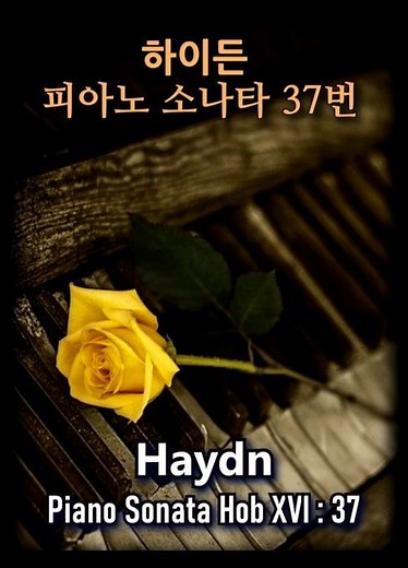 Haydn Piano Sonata No.37 in D Major / 하이든 피아노 소나타 37번 1악장 #piano_notes