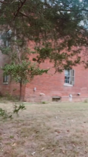 2K views · 12 reactions | Wild Rose is ready to kick off fall with these stunning black bridal gowns ✨Try them on in store along with our other amazing options for the bride looking to make a statement ✨#wildrosebridal | Wild Rose Bridal Effingham | Facebook