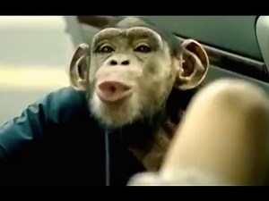 Hahaha. That's Too Funny. Best Trunk Monkey Commercials.