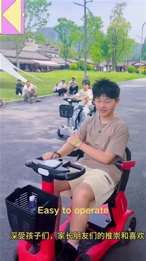 Safe, Stable & Foldable: A Ride-On Scooter Perfect for Kids AND Seniors (Factory Direct!) HyperLeap