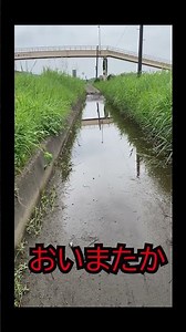 東京ディズニーランド杯 切り抜き動画 part6 50ｋｍ先のディズニーへ！ 自転車vs公共交通機関vsキックボード ＃50km ＃自転車 ＃キックボード ＃公共交通機関