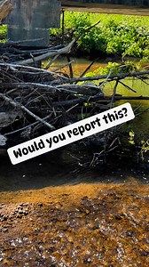 Or set up a camera on top? | Exploring Alabama