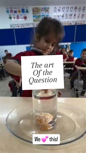 🍊 The 'Tangerine in the Glass' Lesson: A Window into the Future of Learning. What looks like a simple classroom experiment is actually a masterclass in critical thinking. A teacher asks students to remove a tangerine from a full glass of water without spilling a drop. Initially, they see a dead end. But with a little curiosity, a lot of patience, and the freedom to explore, they begin to unlock the "why" behind the "what." This is how we build thinkers: by forcing the mind to slow down and thin