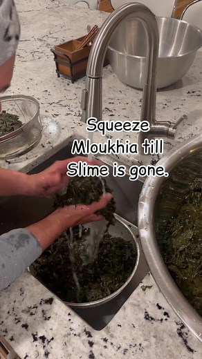 172K views · 1.6K reactions | Mloukhia-Egyptian spinach, commonly...